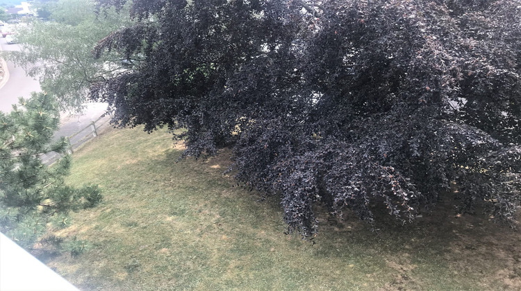 Ma-Cabane - Location Appartement Les Clayes-sous-Bois, 50 m²