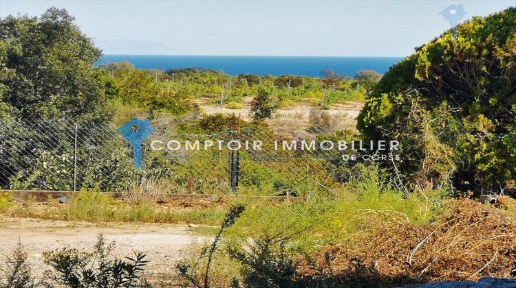 Ma-Cabane - Location Appartement Linguizzetta, 60 m²