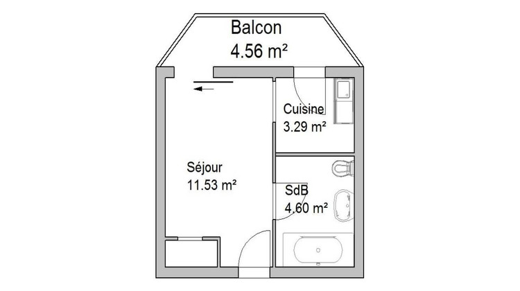 Ma-Cabane - Location Appartement Lyon 05, 19 m²