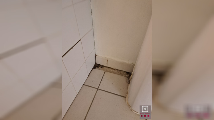 Ma-Cabane - Location Appartement LYON 1, 46 m²