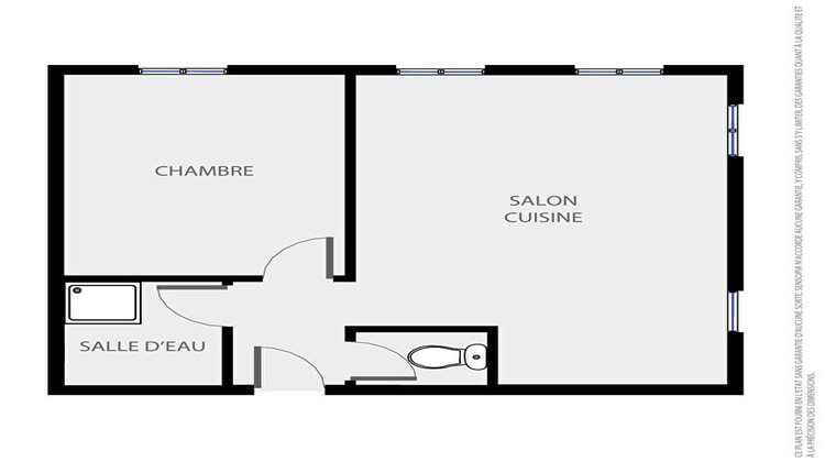 Ma-Cabane - Location Appartement LYON 1, 41 m²