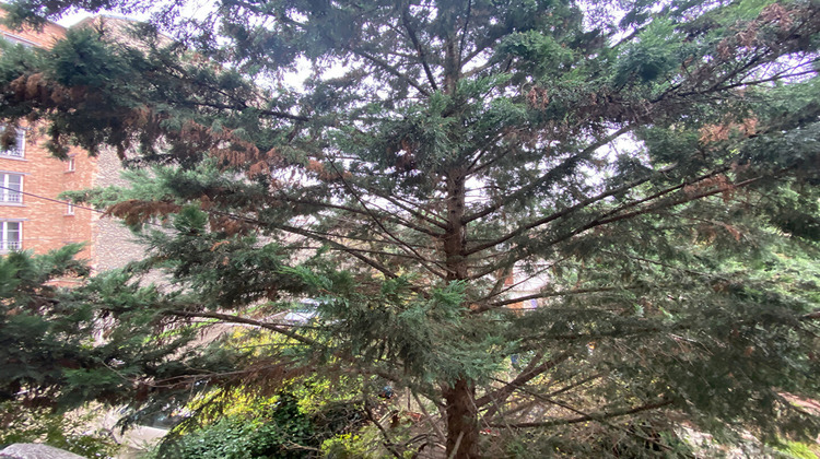 Ma-Cabane - Location Appartement MALAKOFF, 19 m²