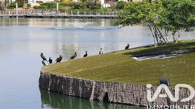 Ma-Cabane - Location Appartement Mandelieu-la-Napoule, 54 m²