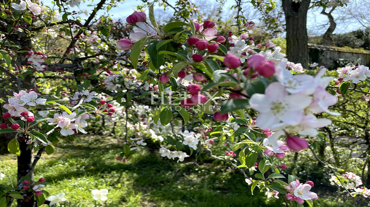 Ma-Cabane - Location Appartement MARLY-LE-ROI, 53 m²