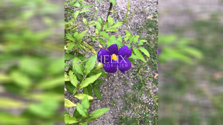 Ma-Cabane - Location Appartement MARLY-LE-ROI, 34 m²