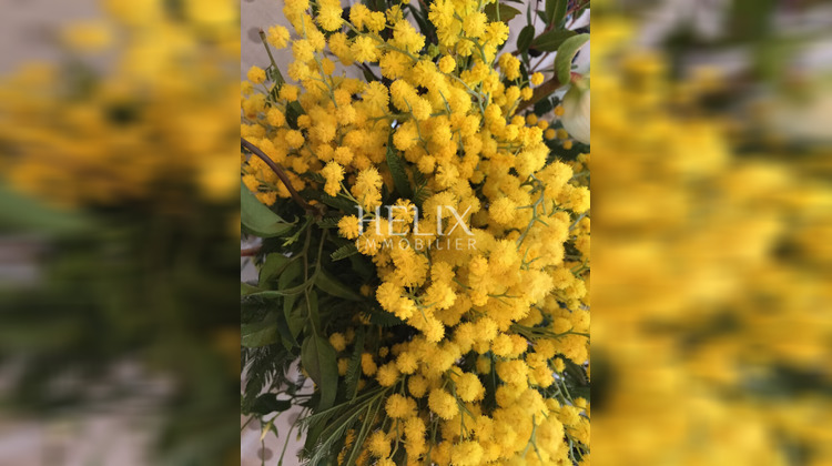 Ma-Cabane - Location Appartement MARLY-LE-ROI, 34 m²