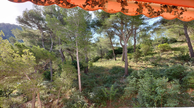 Ma-Cabane - Location Appartement MARSEILLE 9, 83 m²