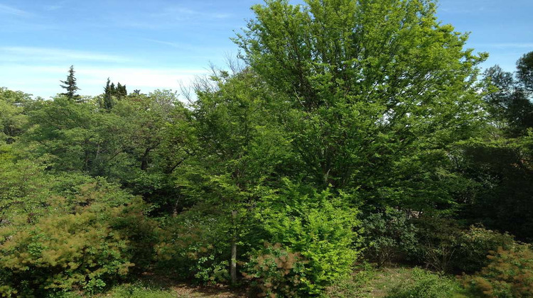 Ma-Cabane - Location Appartement MONTPELLIER, 94 m²