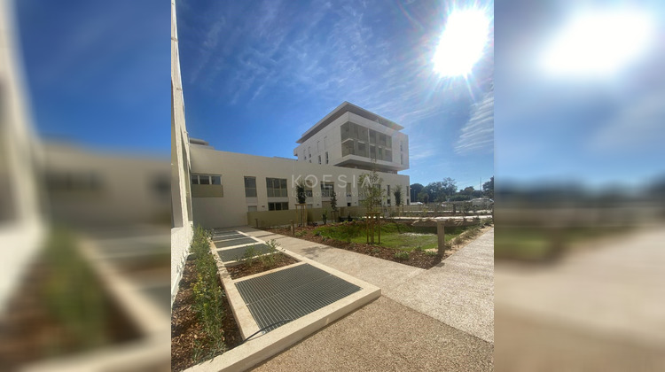 Ma-Cabane - Location Appartement Montpellier, 40 m²