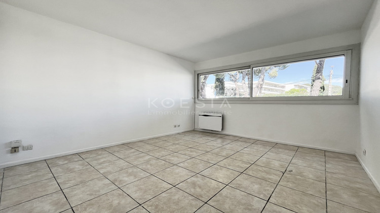Ma-Cabane - Location Appartement Montpellier, 19 m²