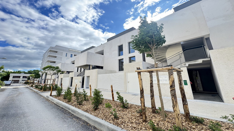 Ma-Cabane - Location Appartement Montpellier, 64 m²