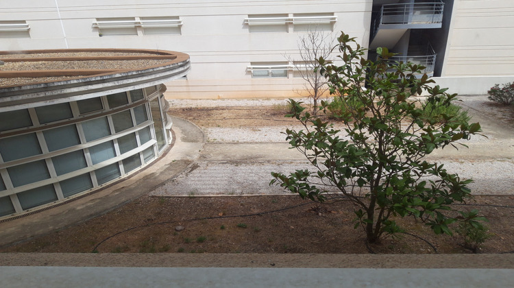 Ma-Cabane - Location Appartement Montpellier, 20 m²