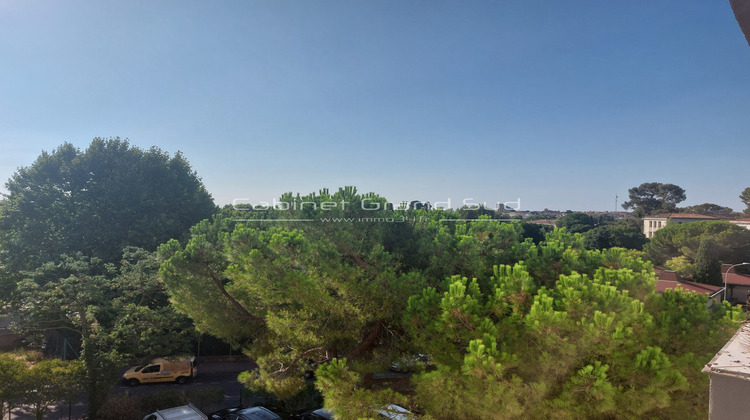 Ma-Cabane - Location Appartement Montpellier, 55 m²