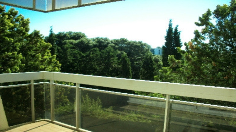 Ma-Cabane - Location Appartement Montpellier, 54 m²