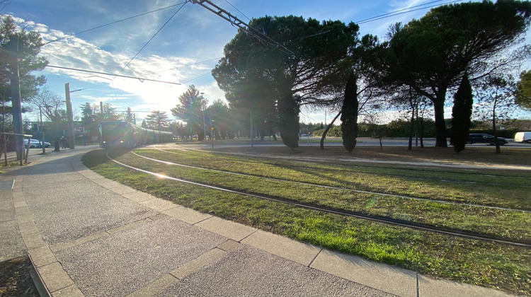 Ma-Cabane - Location Appartement MONTPELLIER, 25 m²