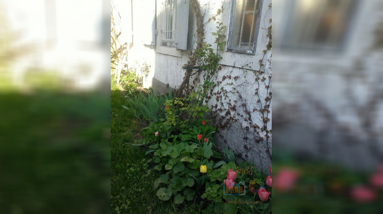 Ma-Cabane - Location Appartement Mulhouse, 52 m²