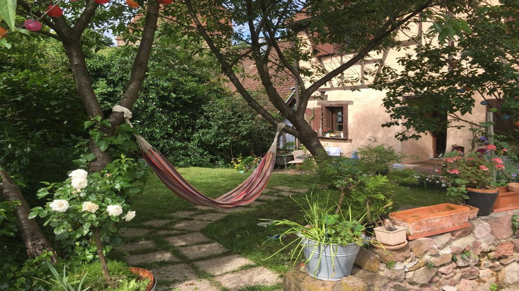 Ma-Cabane - Location Appartement Riquewihr, 26 m²