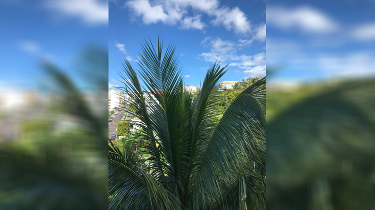 Ma-Cabane - Location Appartement SAINT-DENIS, 28 m²