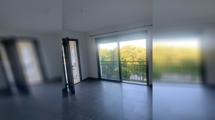 Ma-Cabane - Location Appartement SAN-MARTINO-DI-LOTA, 45 m²