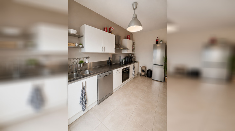 Ma-Cabane - Location Appartement SAN-MARTINO-DI-LOTA, 76 m²