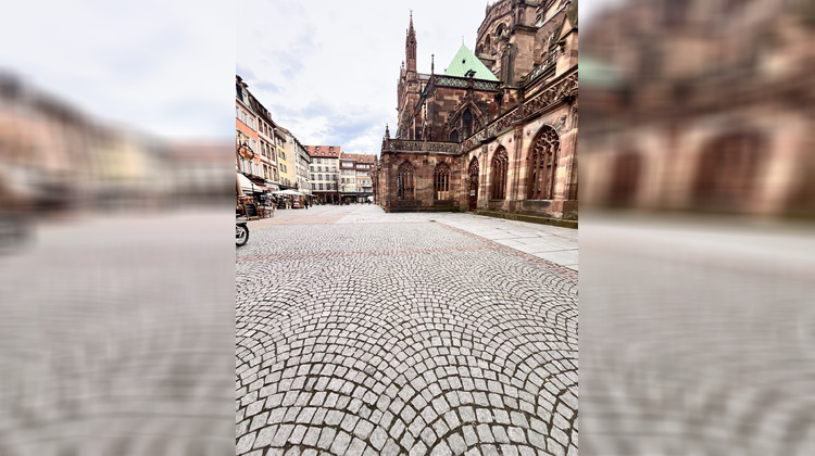 Ma-Cabane - Location Appartement Strasbourg, 54 m²