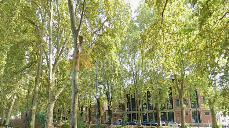 Ma-Cabane - Location Appartement TOULOUSE, 70 m²