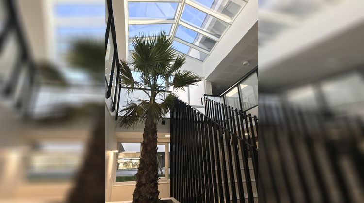 Ma-Cabane - Location Appartement TOULOUSE, 52 m²