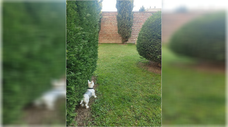 Ma-Cabane - Location Appartement TOULOUSE, 37 m²