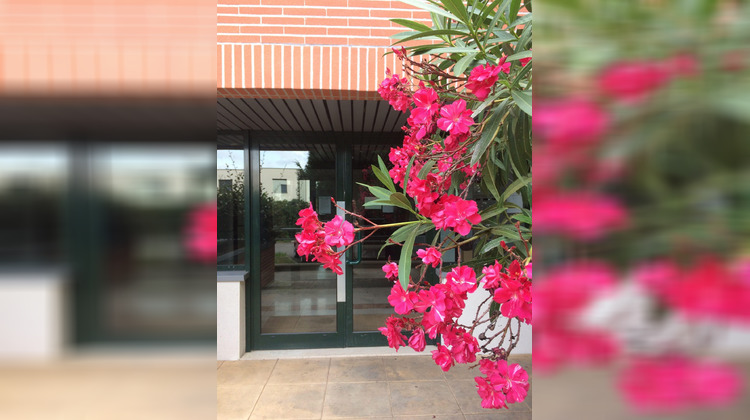 Ma-Cabane - Location Appartement Toulouse, 20 m²