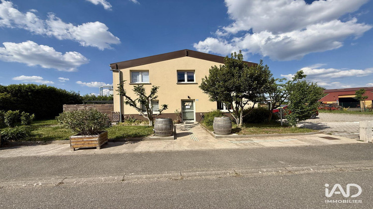Ma-Cabane - Location Divers Bergheim, 52 m²