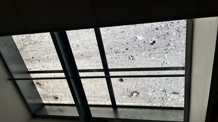 Ma-Cabane - Location Divers Langon, 126 m²