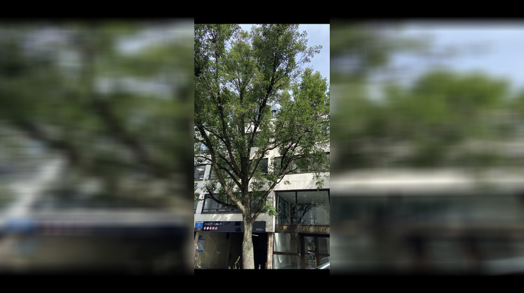 Ma-Cabane - Location Divers Rennes, 70 m²
