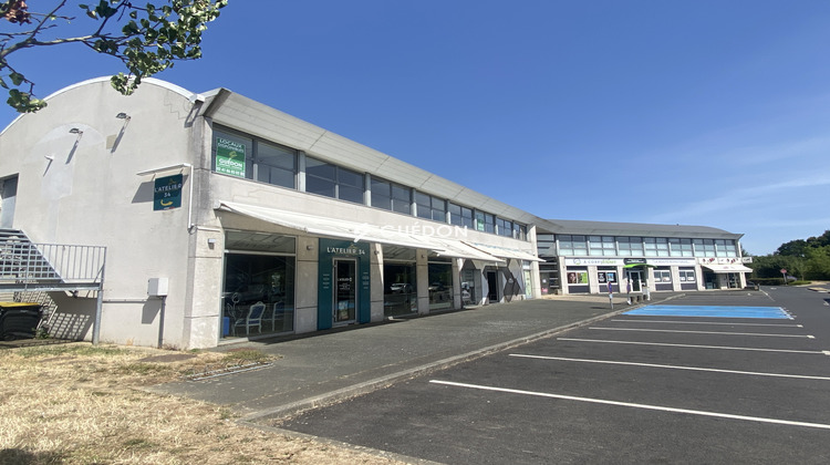 Ma-Cabane - Location Divers Saint-Barthélemy-d'Anjou, 220 m²