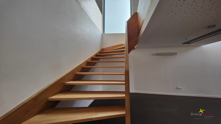 Ma-Cabane - Location Divers Sélestat, 116 m²