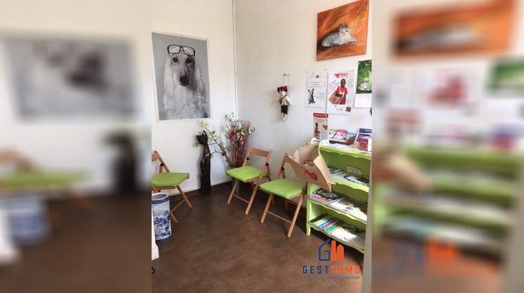 Ma-Cabane - Location Divers Talence, 65 m²