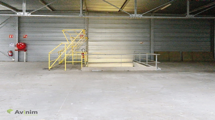 Ma-Cabane - Location Local commercial Éloyes, 1007 m²