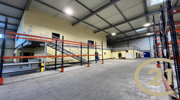 Ma-Cabane - Location Local commercial Albi, 2498 m²