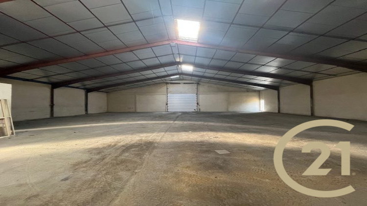 Ma-Cabane - Location Local commercial Albi, 625 m²