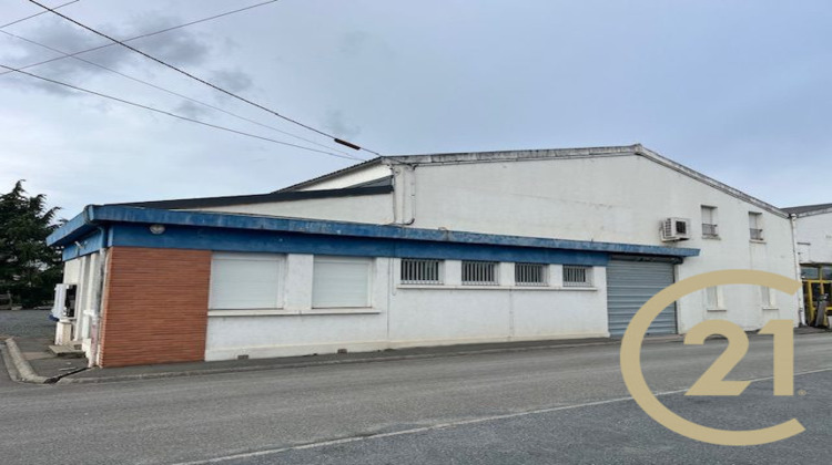 Ma-Cabane - Location Local commercial Albi, 600 m²