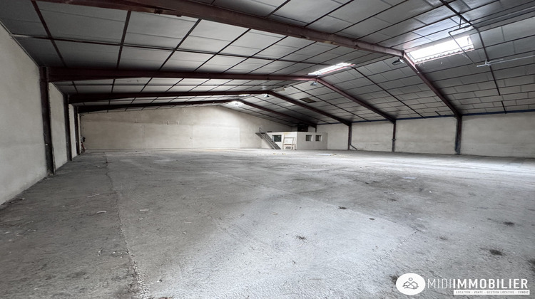 Ma-Cabane - Location Local commercial Albi, 625 m²