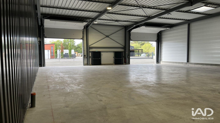 Ma-Cabane - Location Local commercial Ancenis, 300 m²