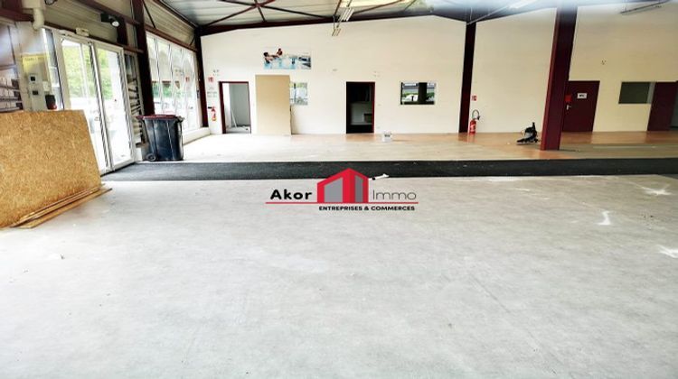 Ma-Cabane - Location Local commercial Appoigny, 350 m²