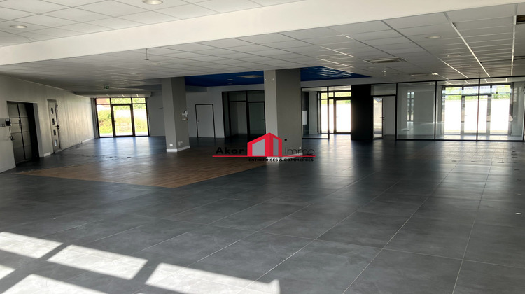 Ma-Cabane - Location Local commercial Appoigny, 330 m²