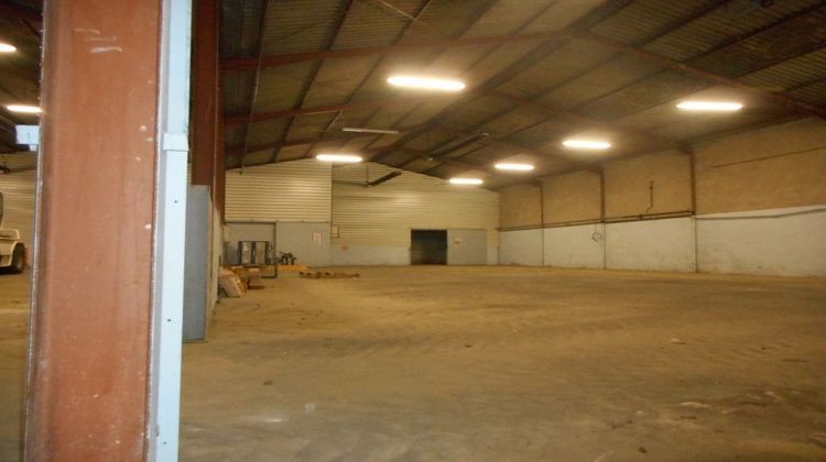 Ma-Cabane - Location Local commercial AUCAMVILLE, 1200 m²