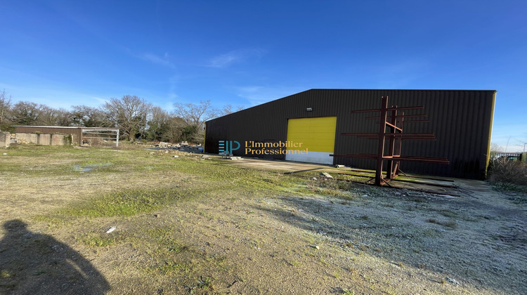 Ma-Cabane - Location Local commercial Auray, 569 m²