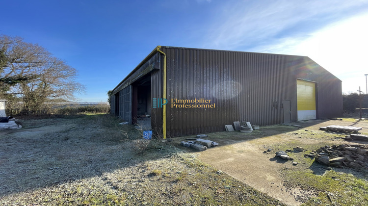 Ma-Cabane - Location Local commercial Auray, 569 m²
