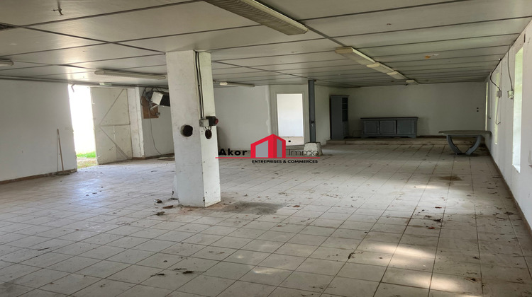 Ma-Cabane - Location Local commercial Auxerre, 130 m²