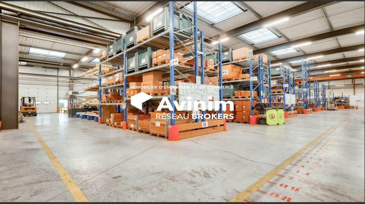Ma-Cabane - Location Local commercial Bailly-Romainvilliers, 3300 m²