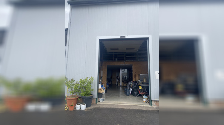 Ma-Cabane - Location Local commercial Benfeld, 141 m²