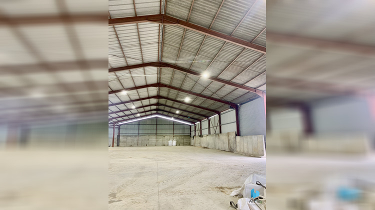 Ma-Cabane - Location Local commercial Bérus, 1600 m²